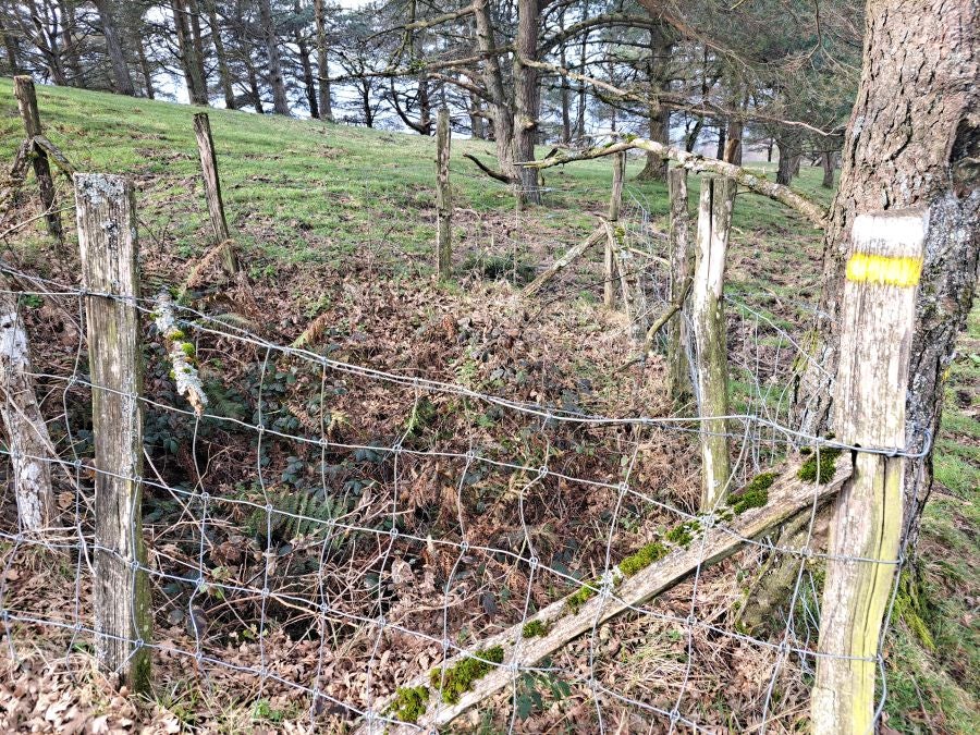 Arranoaitz, un paseo entre cimas