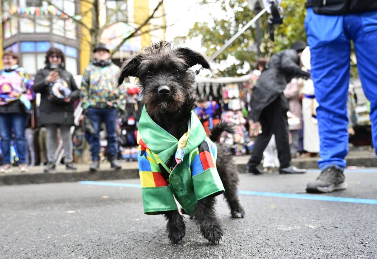 La imaginación gana a la lluvia y al viento en Tolosa