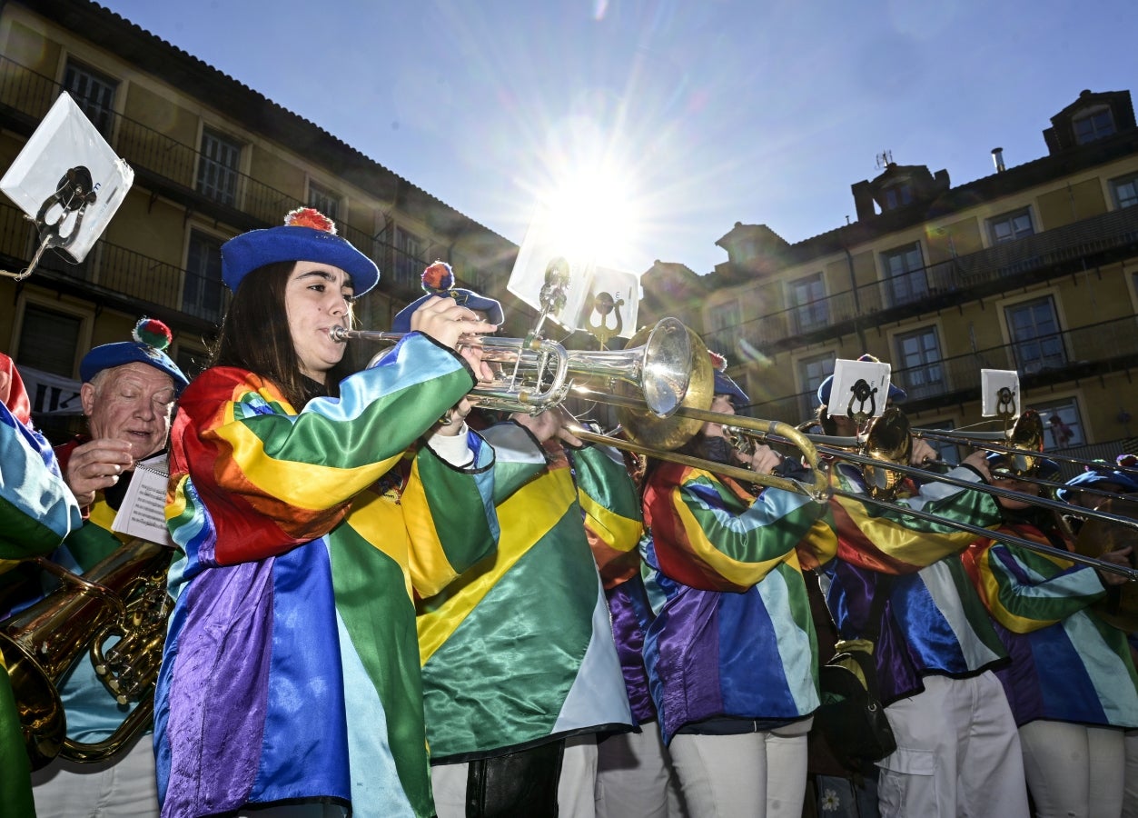 Radiante asteartita en Tolosa