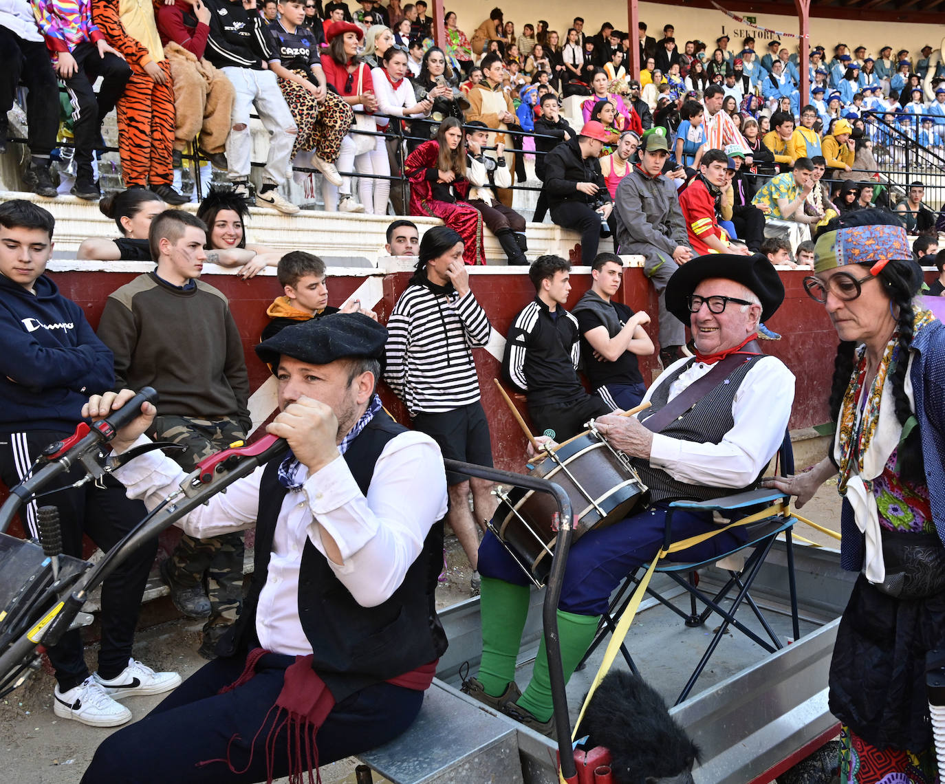 Radiante asteartita en Tolosa