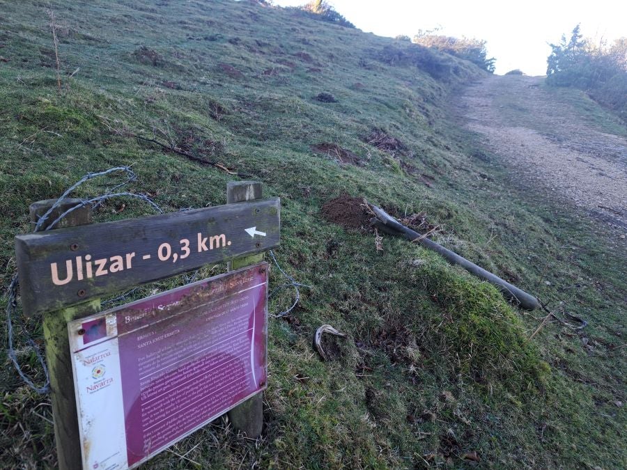 Musaio, al abrigo de las hayas trasmochas