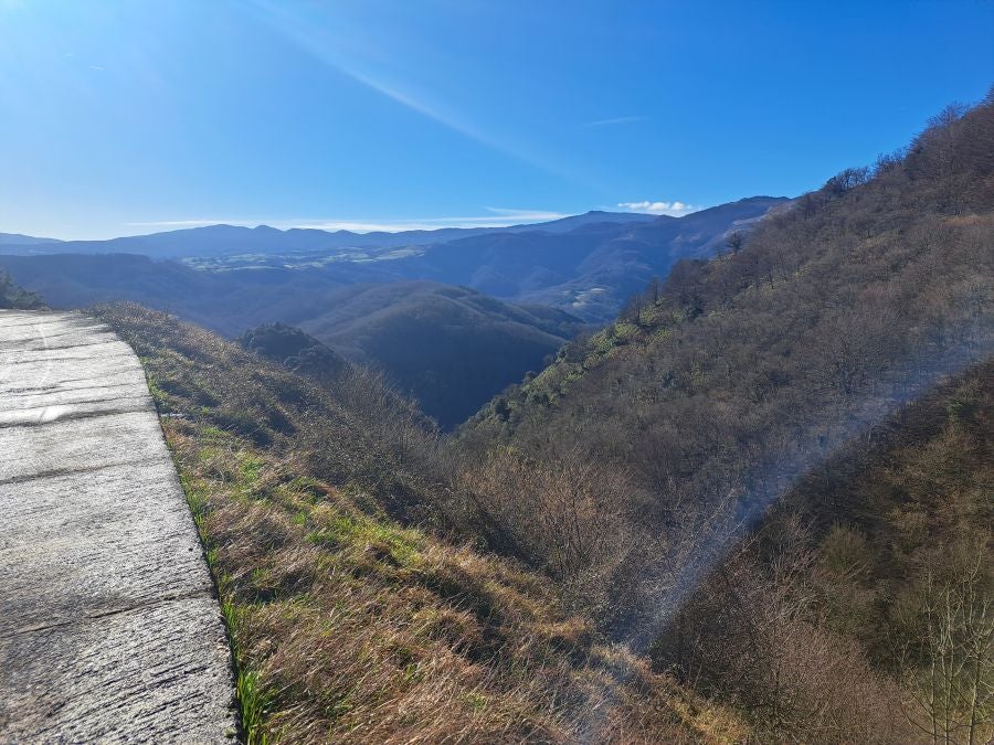 Musaio, al abrigo de las hayas trasmochas