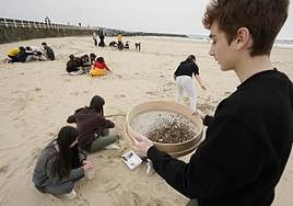 El alumnado criba en grupos la arena recogida en la playa de Zurriola, cerca del espigón.