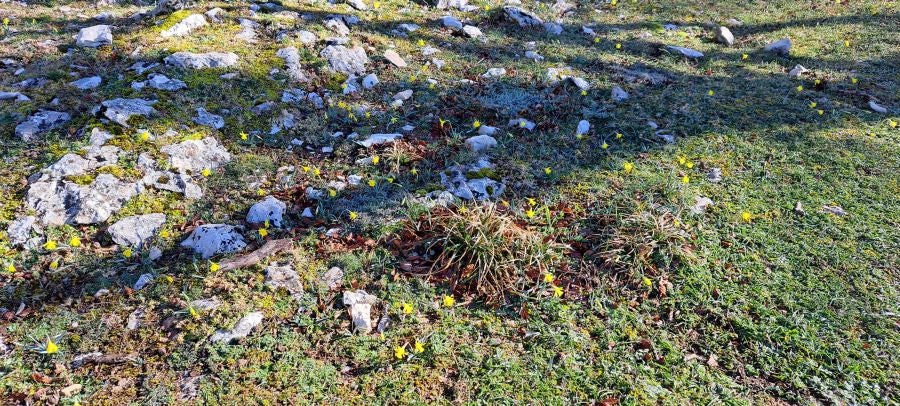Unas espectaculares vistas desde la cima de Andia