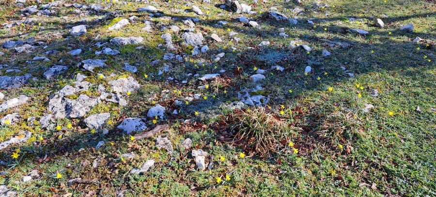 Unas espectaculares vistas desde la cima de Andia