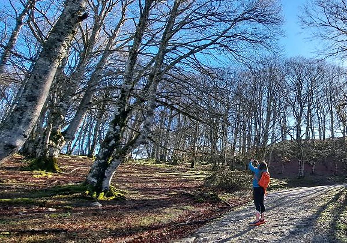 Imagen principal - La pista forestal nos conduce por zonas de pastos y bosques hasta el sendero a San Adrián. Buzón de la cima. Dos amigas dejaron una foto de su visita en el interior del buzón.