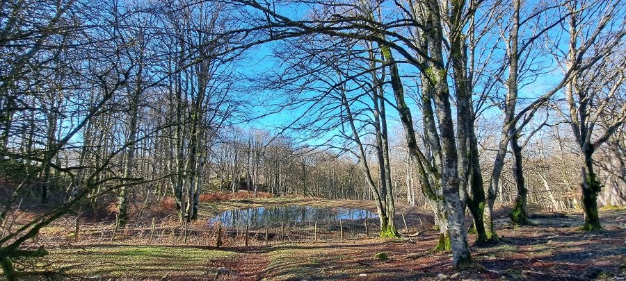Unas espectaculares vistas desde la cima de Andia