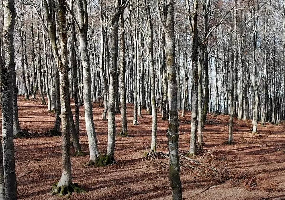 Fotograma del documental de Egoi Suso.