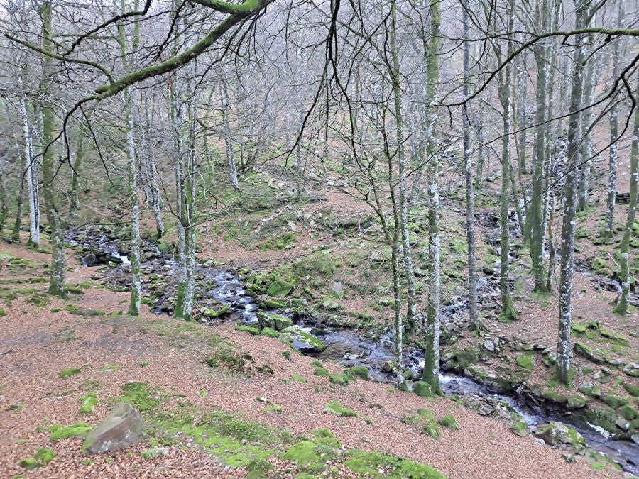 Disfrutando de las vistas desde la cima de Azkenatz