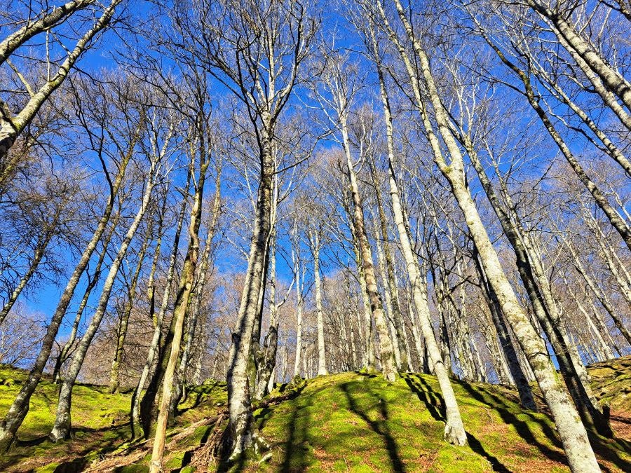 Disfrutando de las vistas desde la cima de Azkenatz