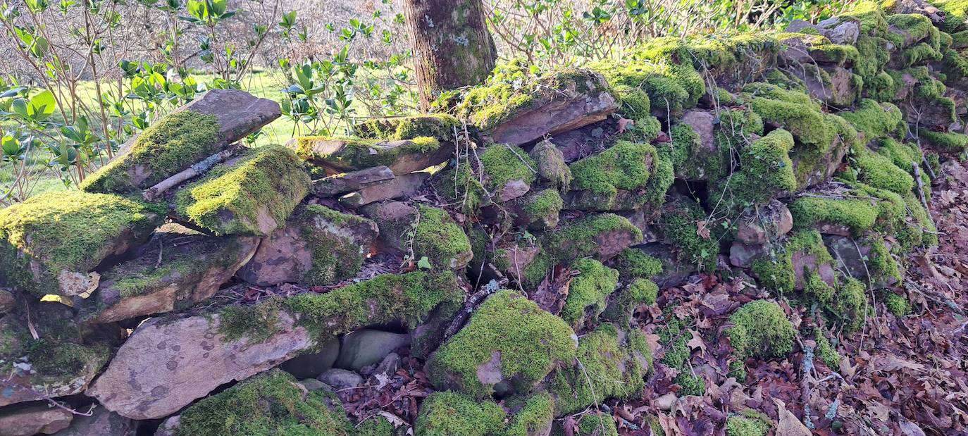 Las mejores imágenes de la salida al monte Akola