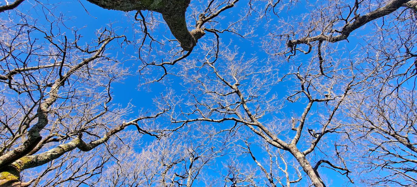 Las mejores imágenes de la salida al monte Akola