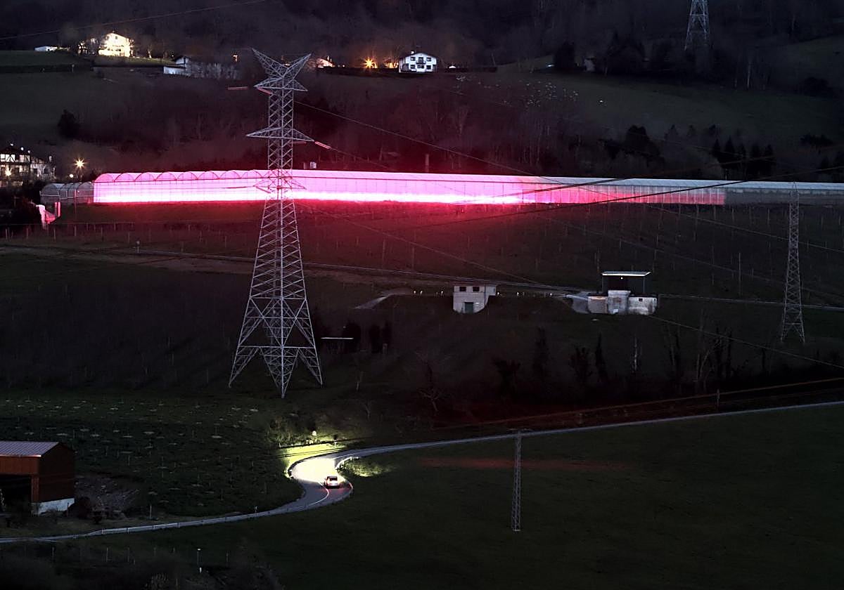 El invernadero de Urnieta emitía una potente luz rosada este viernes al anochecer.
