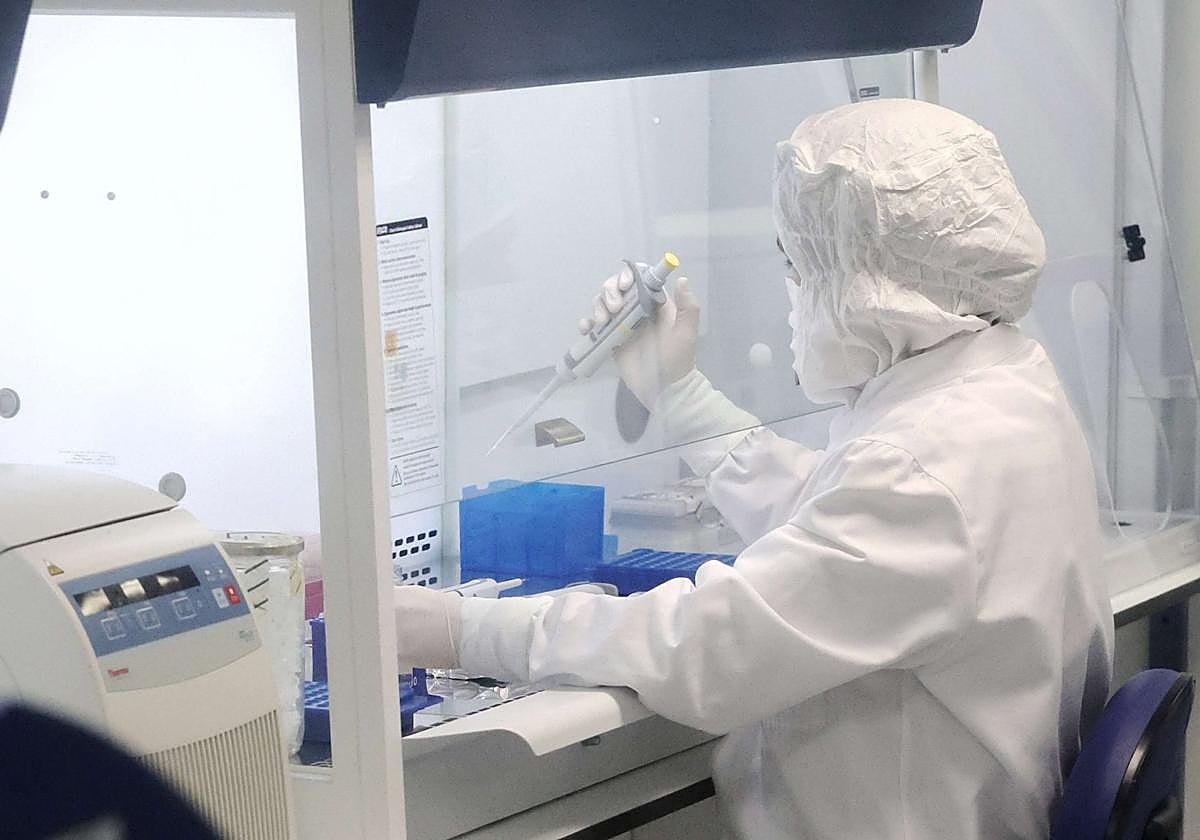 Una persona trabaja en el laboratorio que ahora es de Gogora.