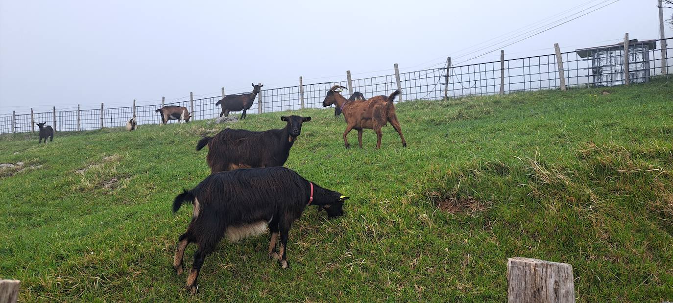 Arizmendi, hermoso rincón de Tolosaldea