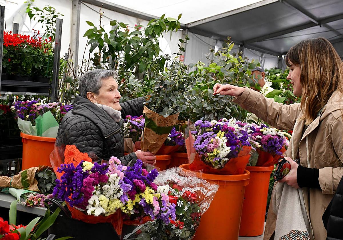 Udaberri koloretsua ireki dute Seguran