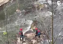 Rescatan un jabalí muerto del río en Soraluze