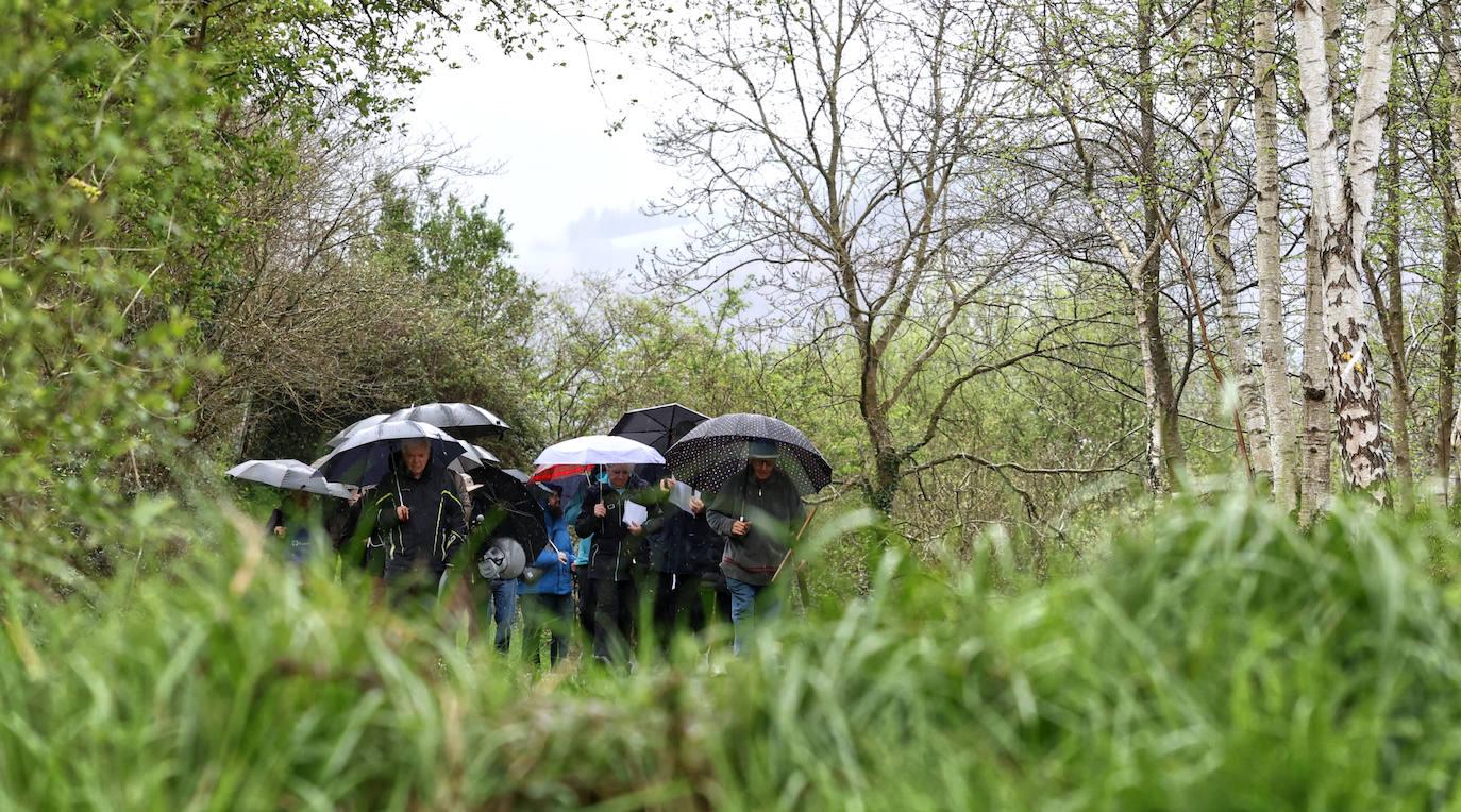 Via Crucis de Zamalbide al Fuerte San Marcos de Errenteria