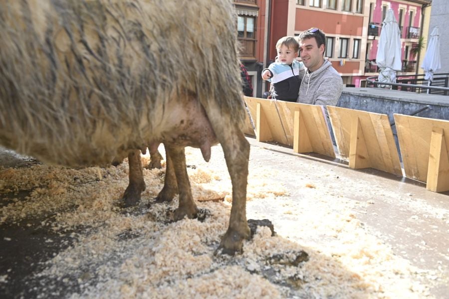 «Gure herriaren usaina!»