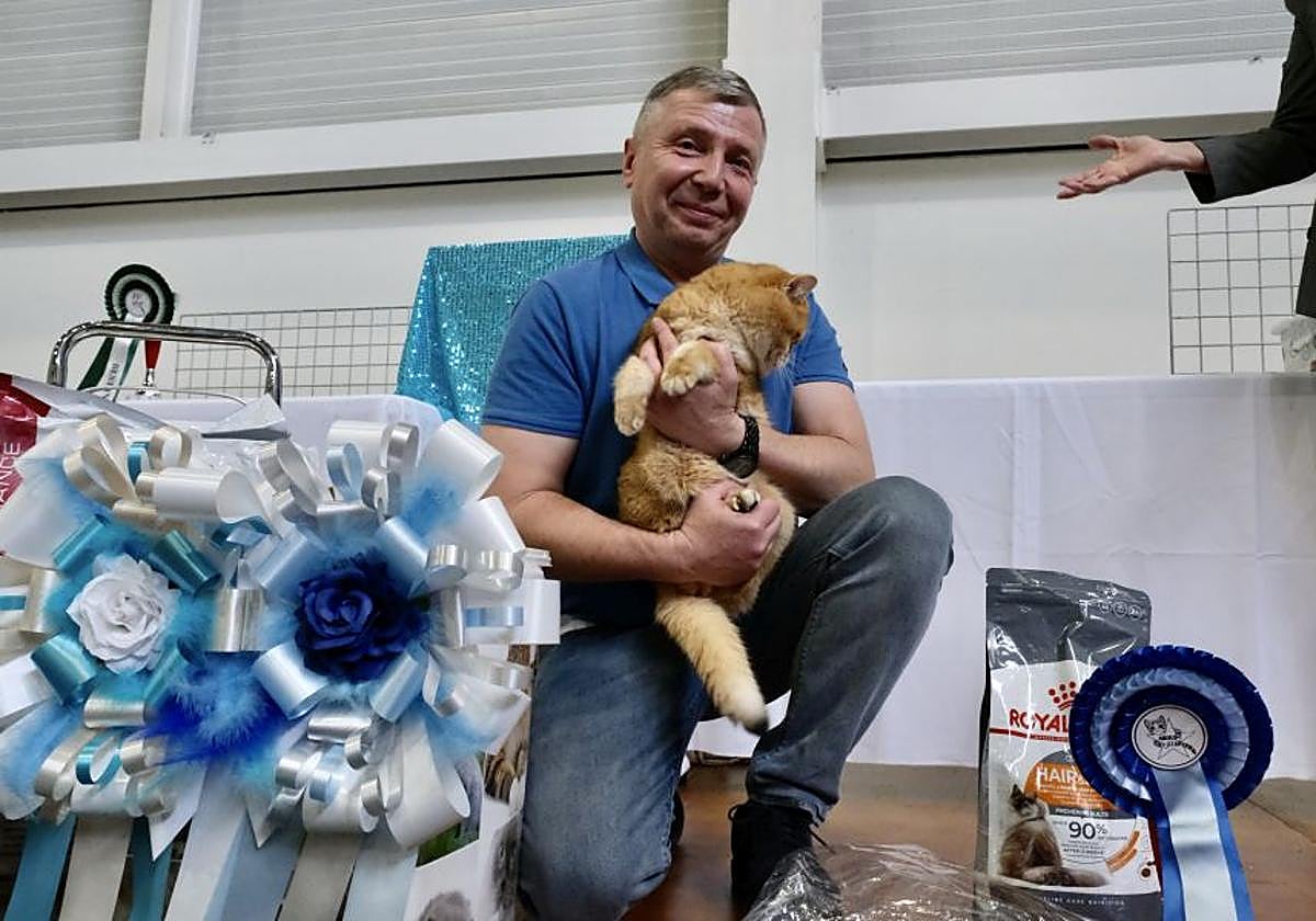 Exposición Felina en Ficoba