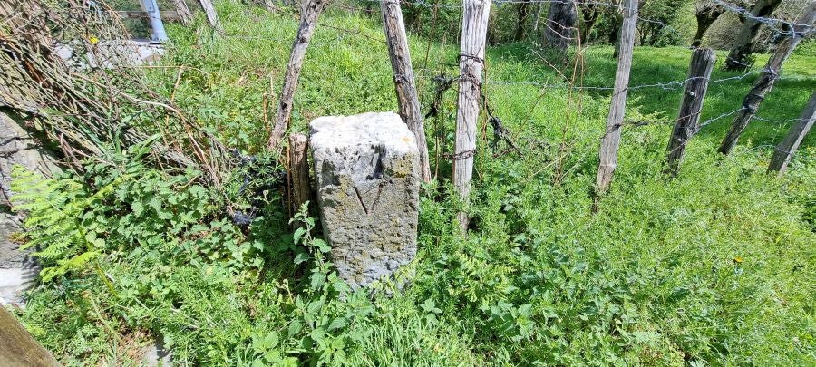 Irukurutzeta, siempre sorprendente