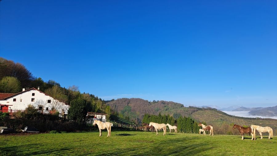 Irukurutzeta, siempre sorprendente