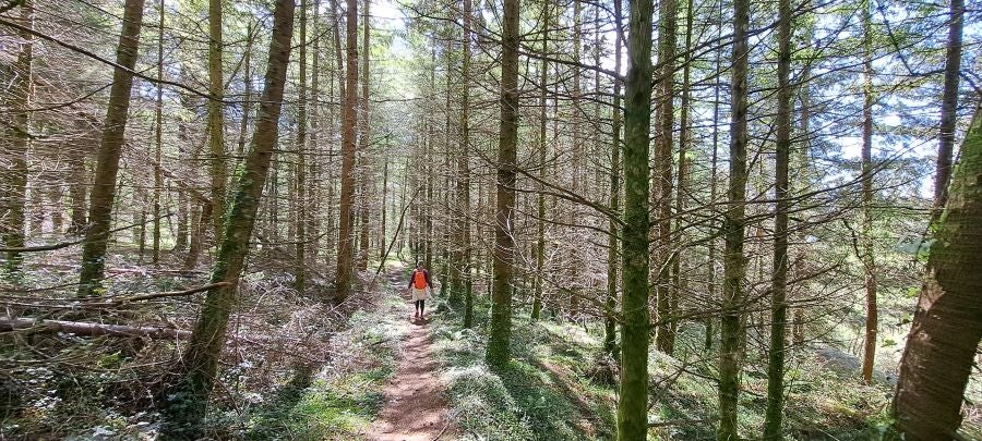 Irukurutzeta, siempre sorprendente