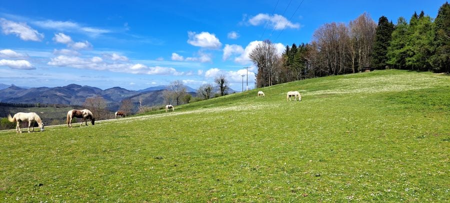 Irukurutzeta, siempre sorprendente