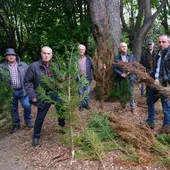 «Los sabotajes en nuestros bosques van a seguir, y hay que acabar con la impunidad de los autores»