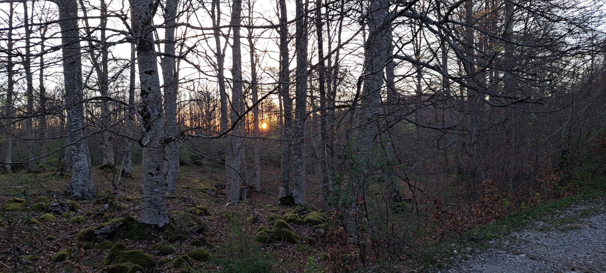 Errenaga, la discreta cima de la Sierra de Aralar