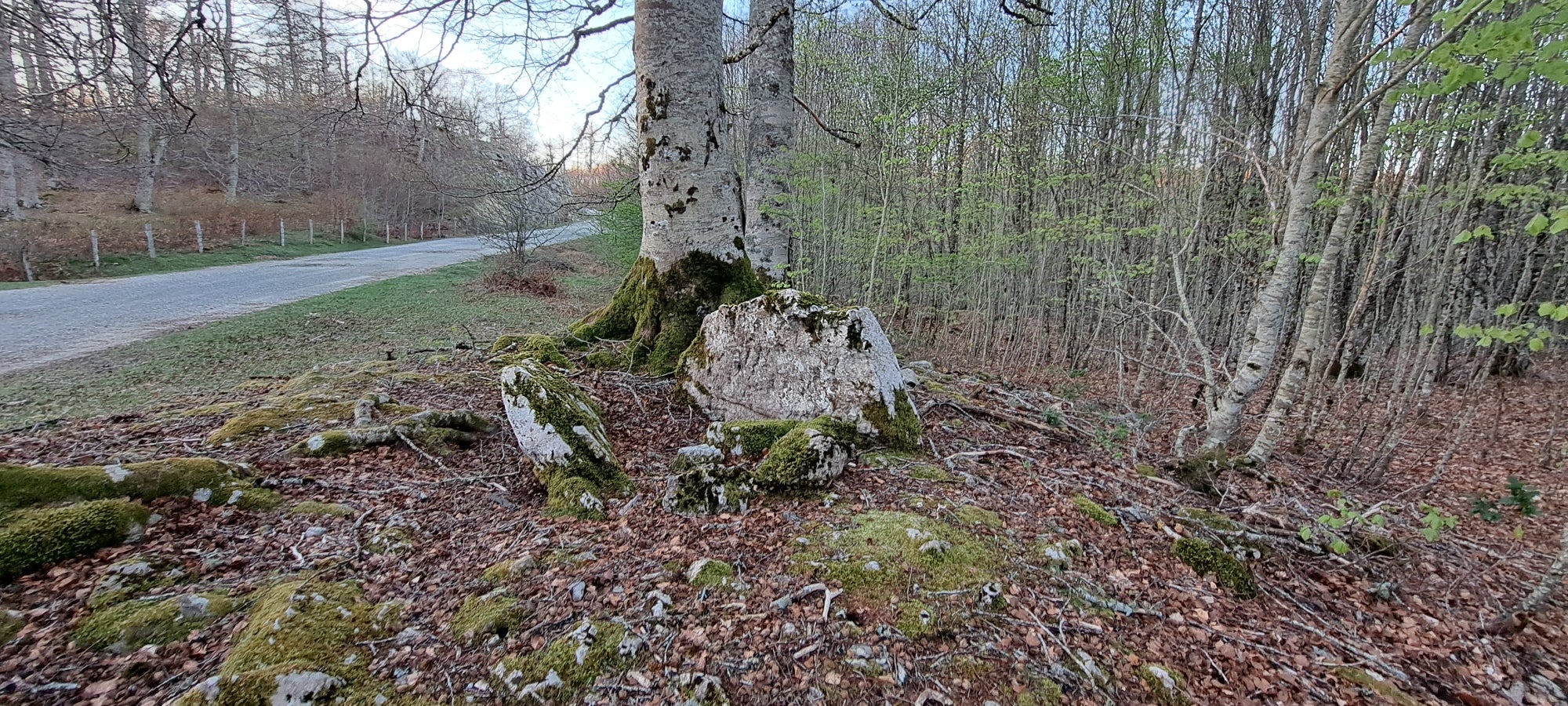 Errenaga, la discreta cima de la Sierra de Aralar