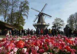 Keukenhof, la explosión de los tulipanes