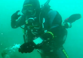 Uno de los buceadores sostiene los restos de un ejemplar de pintarroja.