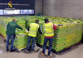 Las 484 cajas intervenidas y subastadas en el Puerto de Laredo.