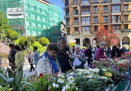 Plena primavera en el centro de Urretxu