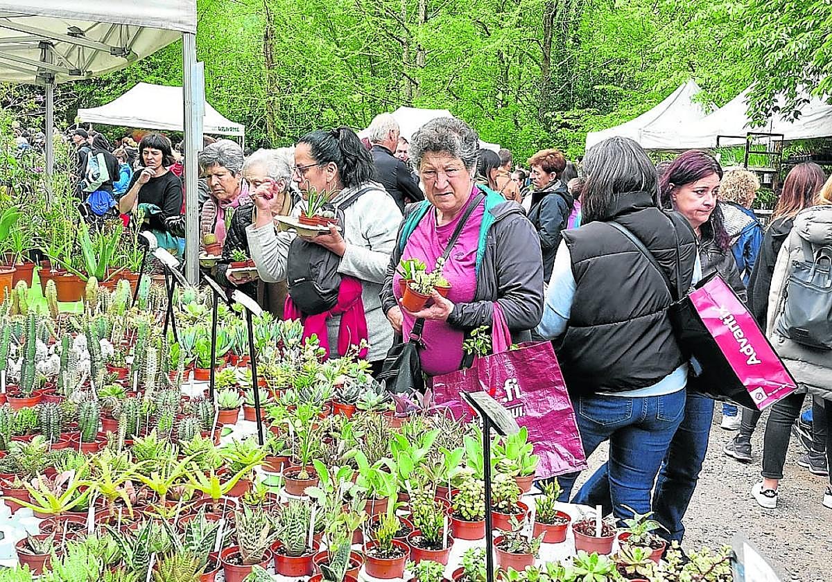 Beti bezala, lore eta landare aukera izango da azokan.