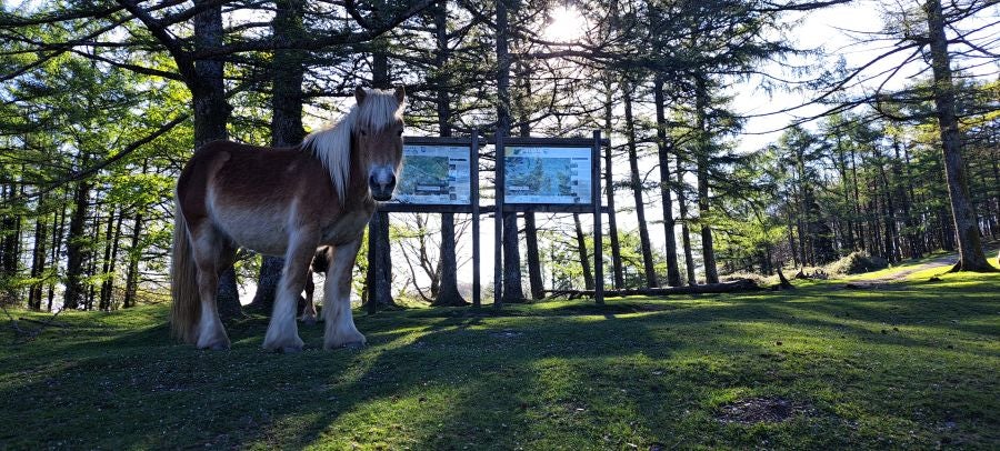 Erlaitz, una cima con muchos secretos