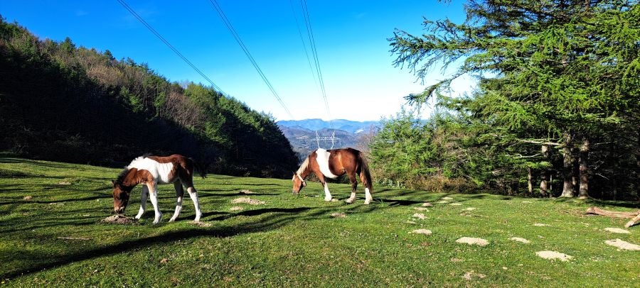 Erlaitz, una cima con muchos secretos