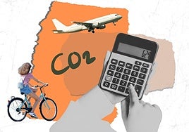 Dime cómo te mueves y te diré cuánto contaminas