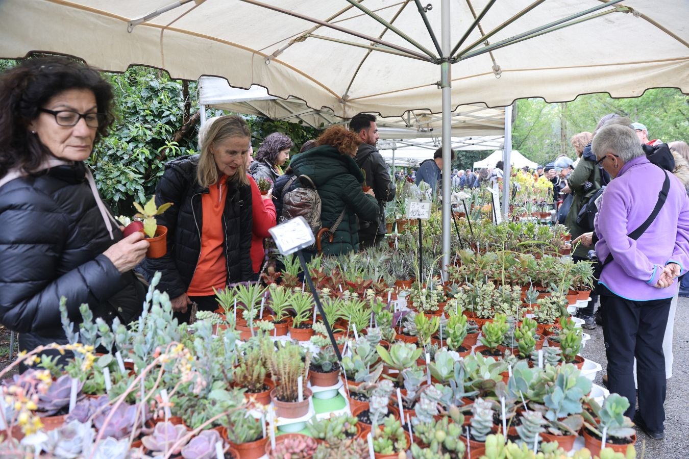 Miles de personas visitan la Feria de Plantas de Iturraran