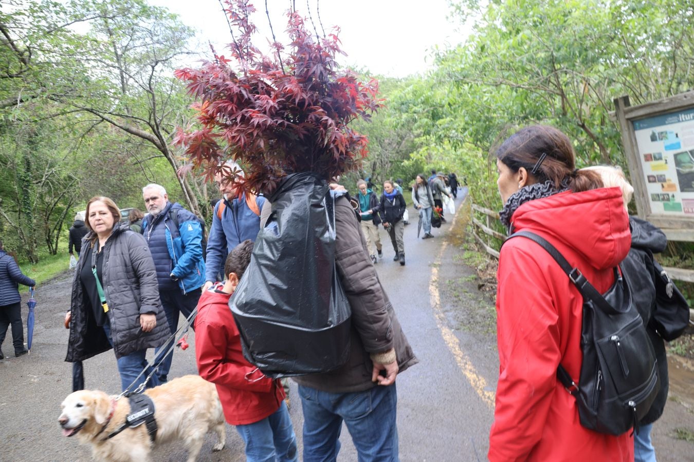 Miles de personas visitan la Feria de Plantas de Iturraran