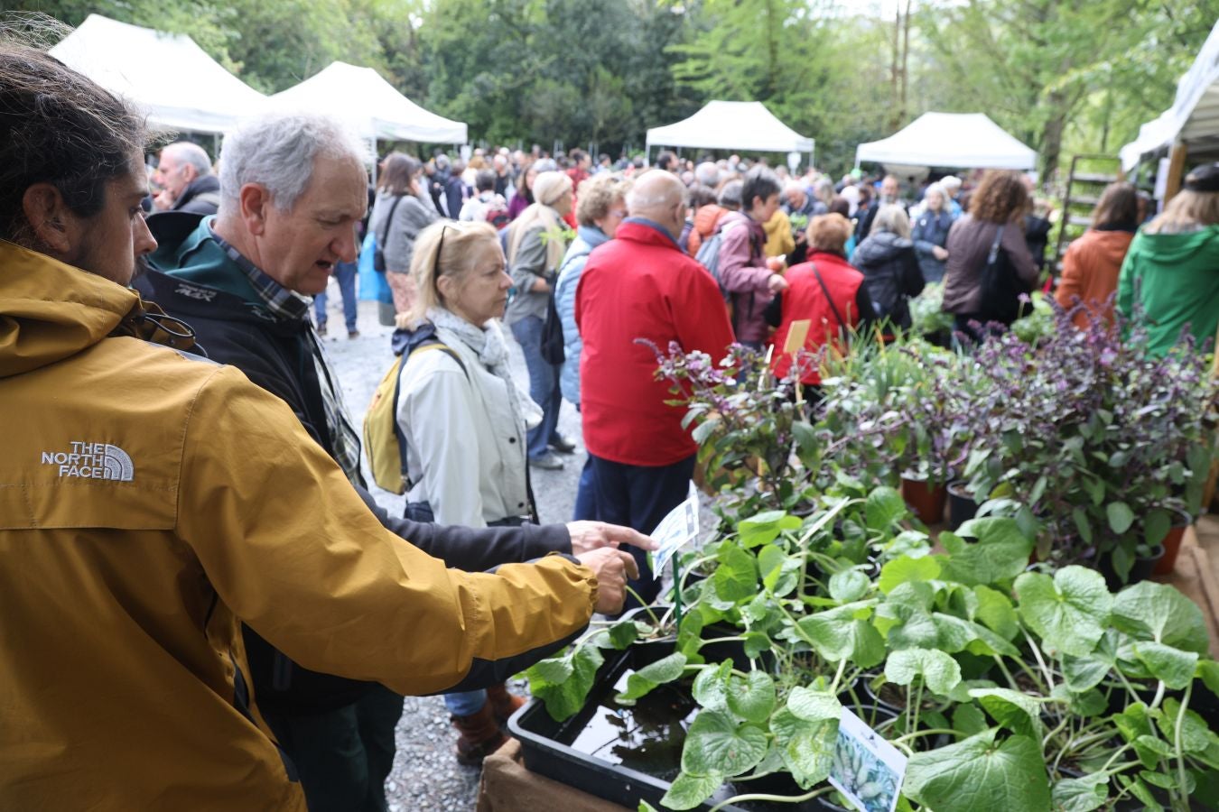 Miles de personas visitan la Feria de Plantas de Iturraran