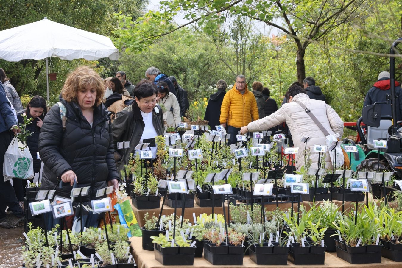 Miles de personas visitan la Feria de Plantas de Iturraran