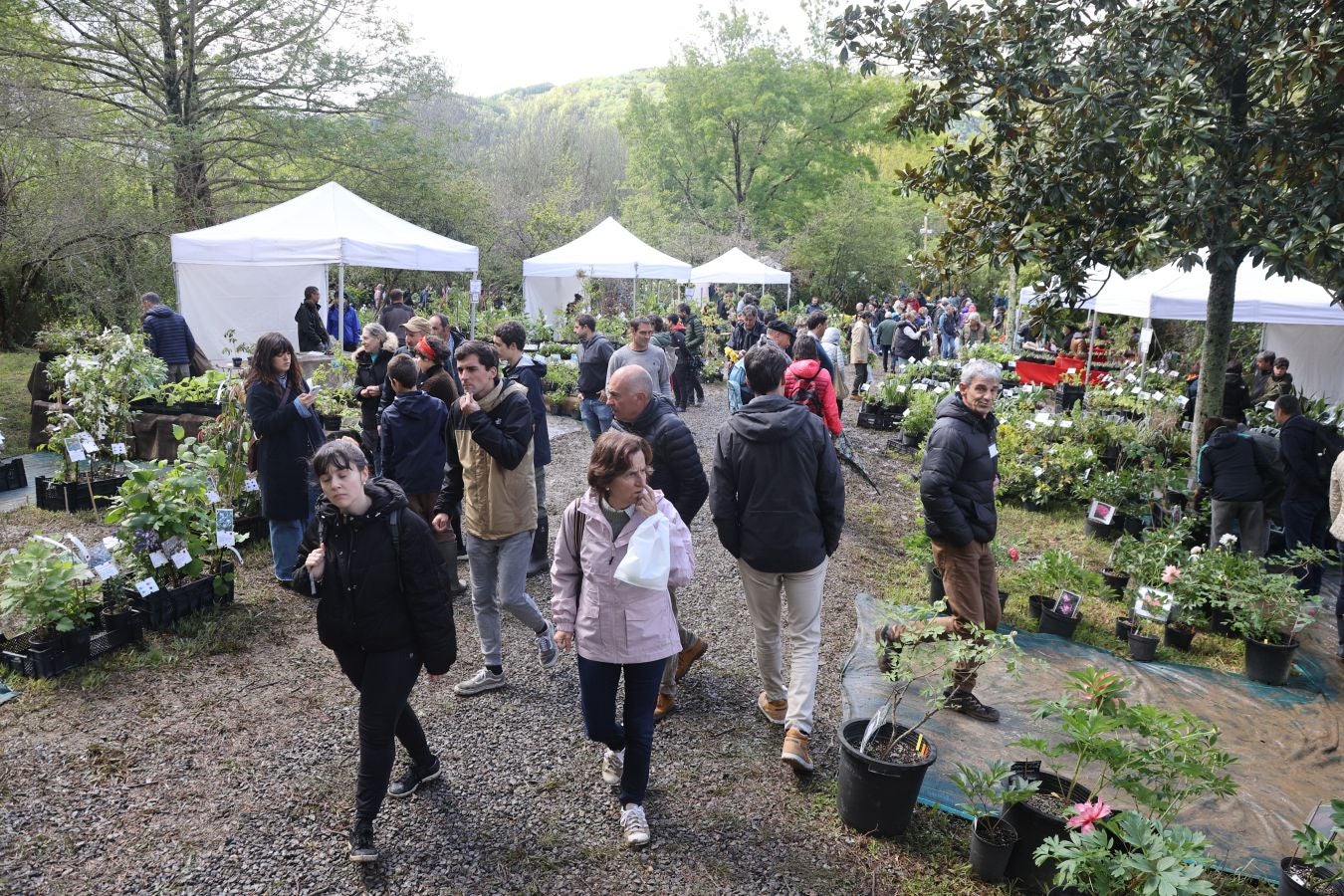 Miles de personas visitan la Feria de Plantas de Iturraran