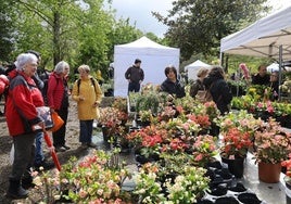 Miles de personas visitan la Feria de Plantas de Iturraran