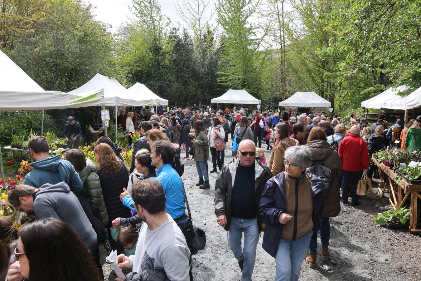 Miles de personas visitan la Feria de Plantas de Iturraran