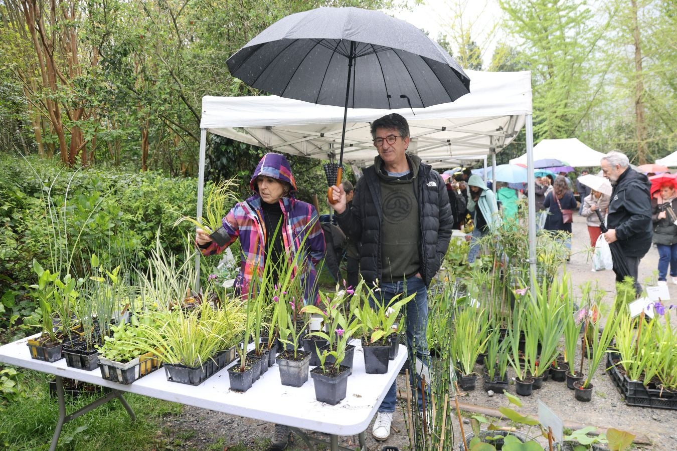 Miles de personas visitan la Feria de Plantas de Iturraran