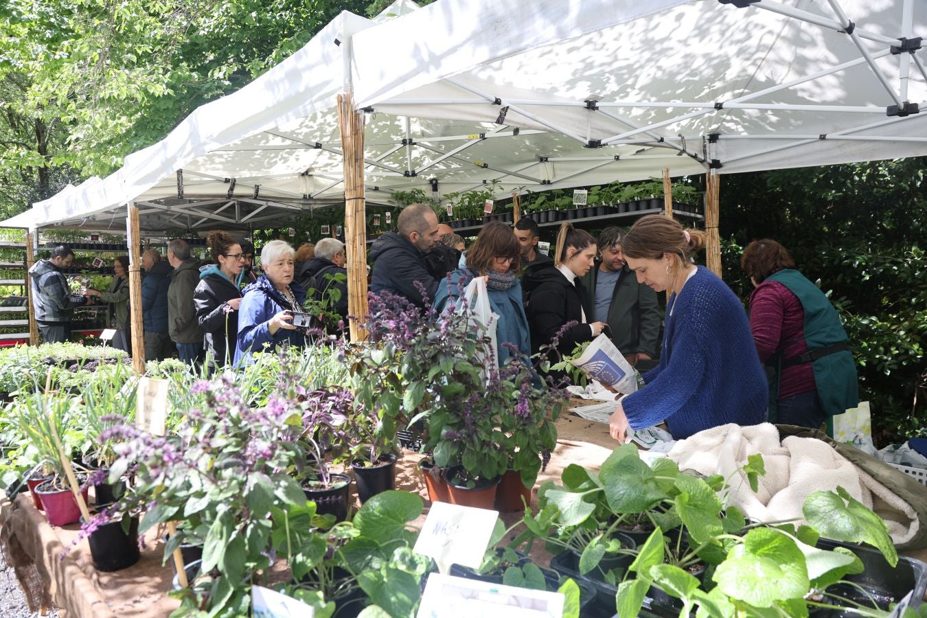 Miles de personas visitan la Feria de Plantas de Iturraran