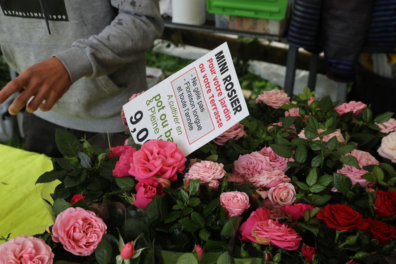 Miles de personas visitan la Feria de Plantas de Iturraran