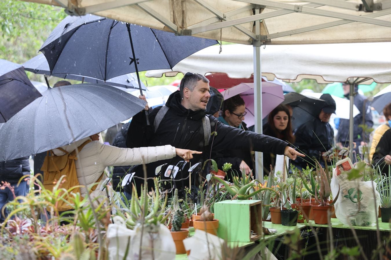 Miles de personas visitan la Feria de Plantas de Iturraran